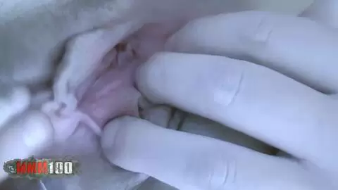 Kleiner improvisierter Fick mit Barbara Nux photo 10