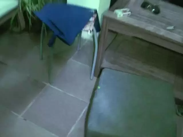 Allya trifft auf ein grünes Insekt und kommt davon nicht los!
 photo 2