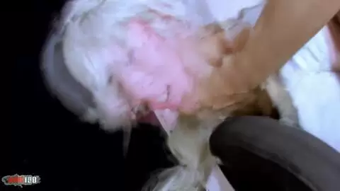 Die junge französische Blondine Milky Cooper bei einem Analdreier mit Doppelpenetration photo 05