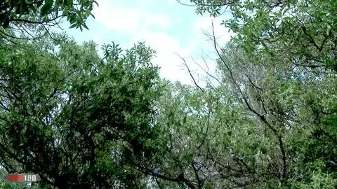 Two girlfriends peeing together in the woods photo 16