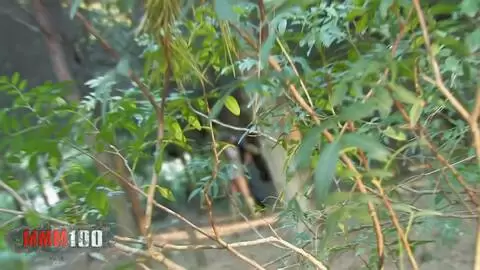 Ein Voyeur filmt einen Typen, der sich im Wald einen blasen lässt photo 4