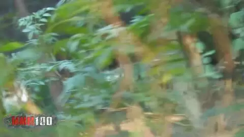 Ein Voyeur filmt einen Typen, der sich im Wald einen blasen lässt photo 5