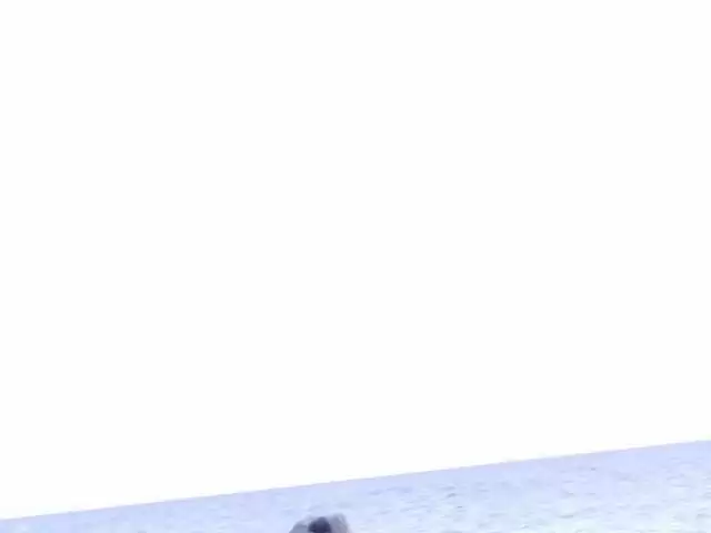 Nathalie Sainlouis gibt Jorge einen guten Blowjob am Strand photo 1