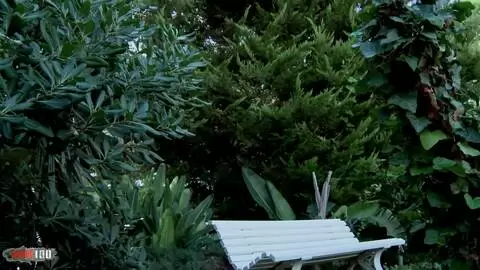 Pauline Cooper peeing outdoor  photo 16