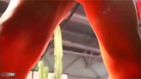  Angelina at Prova 2006 photo 02