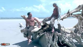 Der haarige latina-arsch von d