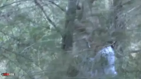 Voyeur clip of a girl blowing her BF in the forest photo 06